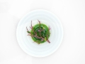 19-09-16_09h38m15s-Rasmus-Kofoed-(Geranium)